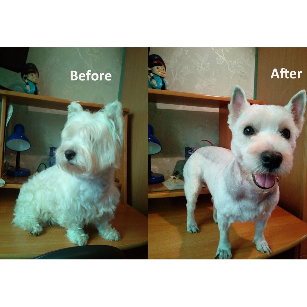 Pet Dog Hair Trimmer - Image 3