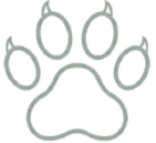 gemini generated image h2s6cch2s6cch2s6 removebg preview