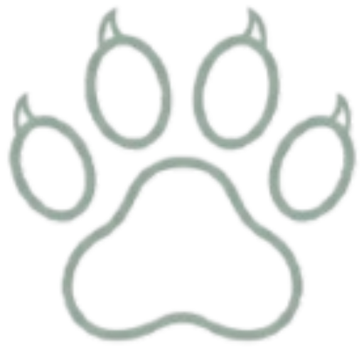 PetCare